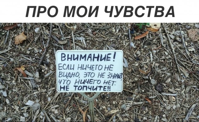 Прикольные картинки абавсём