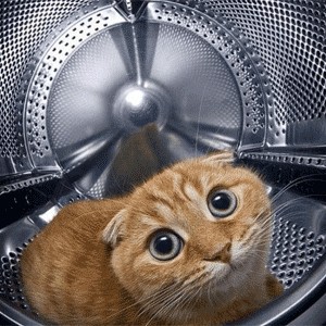 А может не надо?