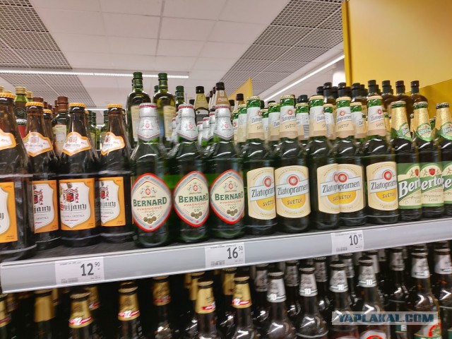 «Роскачество» назвало лучшее светлое пиво