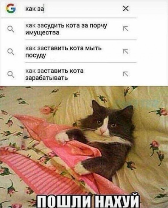 Немного веселых картинок из этих наших интернетов