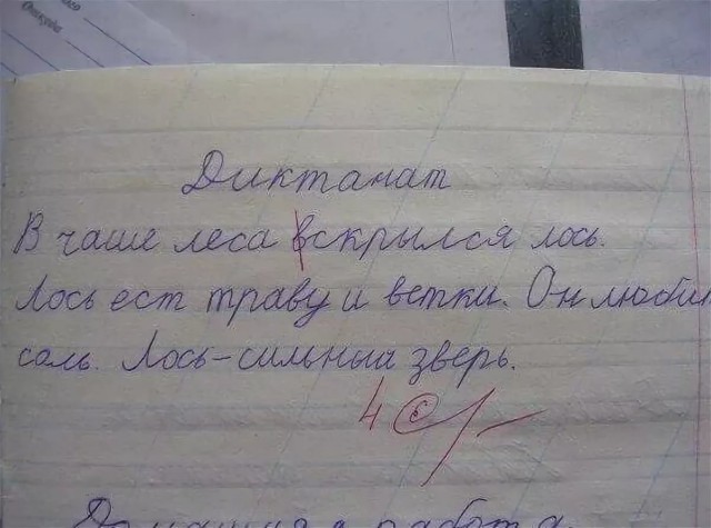 Чернушка