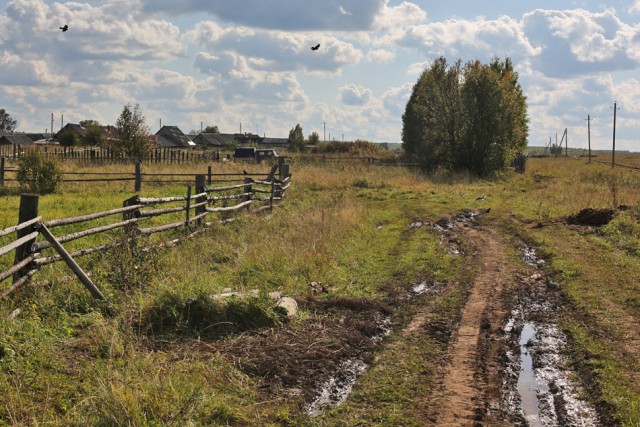 Красота сельских дорог