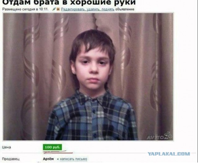 Всякая всячина #13
