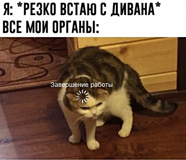 Картинки с надписями, истории и анекдоты 21.12.19