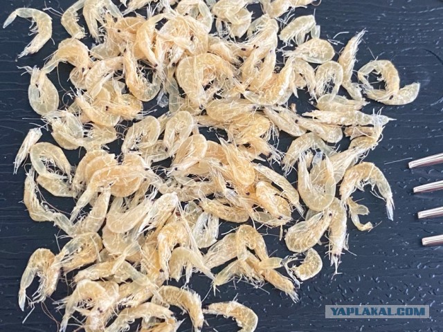 Салат с помело и креветками в тайском стиле для Ovimu