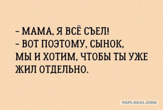 Бредзона 21.08.2020