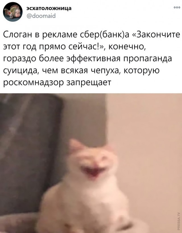 Картинки и мемы для настроения 022