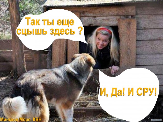 Фотожаба: Собака с Девушкой