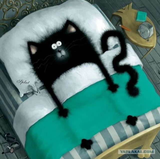 Котодраки