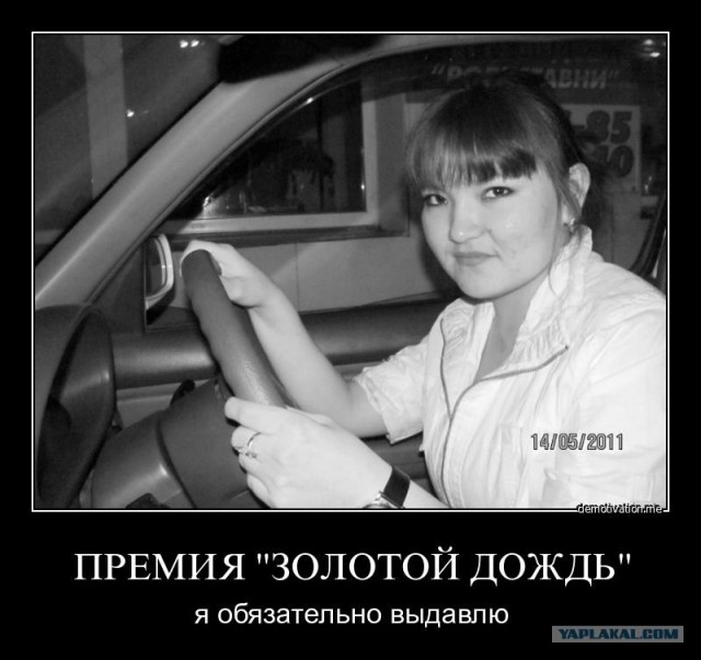 Пьяная девушка-водитель избила госавтоинспекторов
