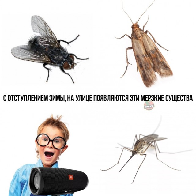 Весёлый полтишок 12.03