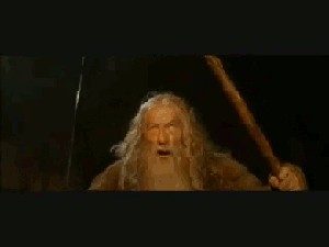 Пёс, которому все пох