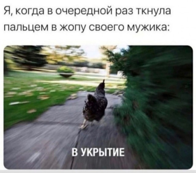 Картинки всякие аморальные - 4