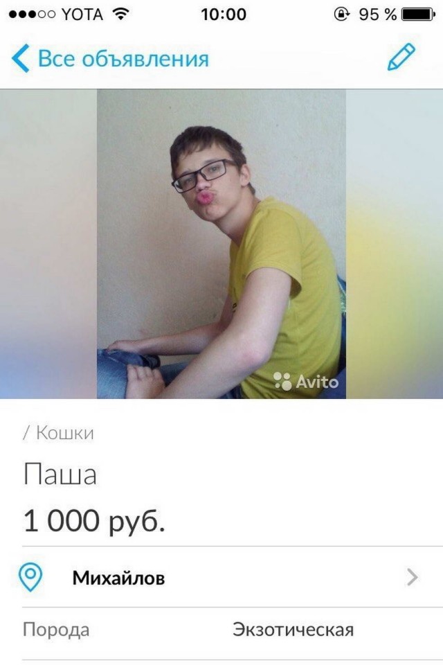 Чудики с Авито