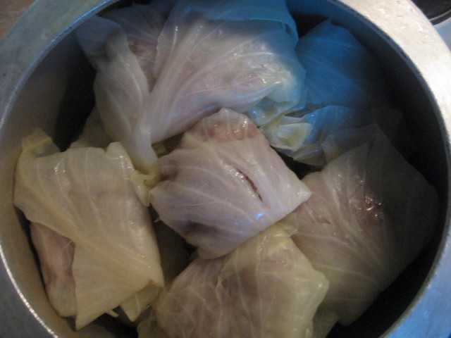 Капуста International, Наступила осень, отцвела капуста...