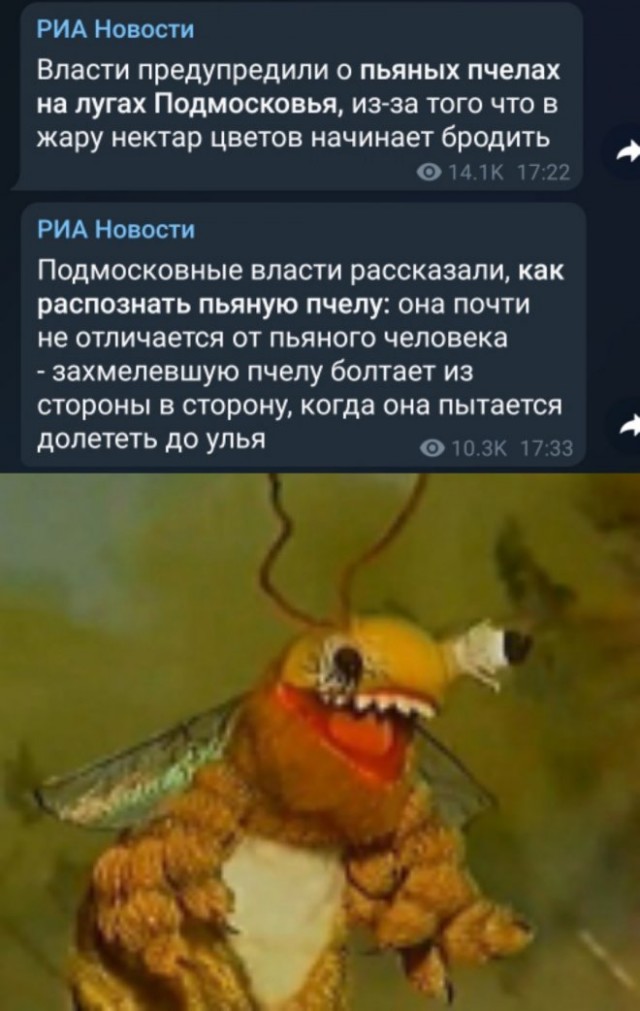 Картинки и мемы для настроения 12.07.2021