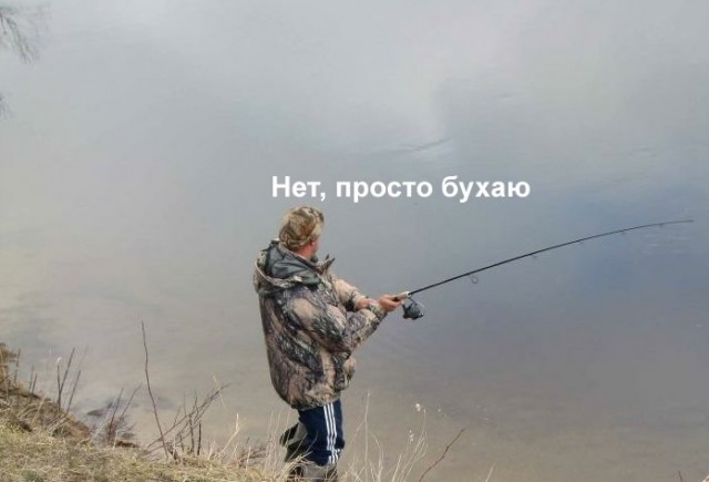 Разбираем новый мем "про рыбов"