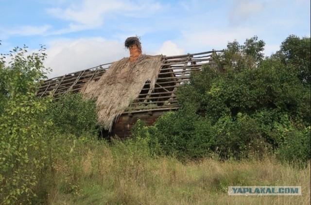 Заброшенные деревни. Уникальная деревня посреди болот