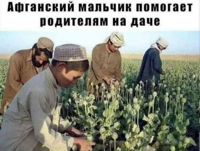 Картинки всякие и аморальные - 10