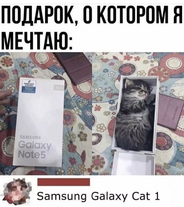 Так себе картинки 28.08.21
