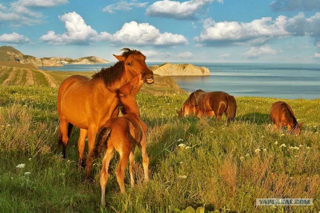 Крым, лучшее место в мире