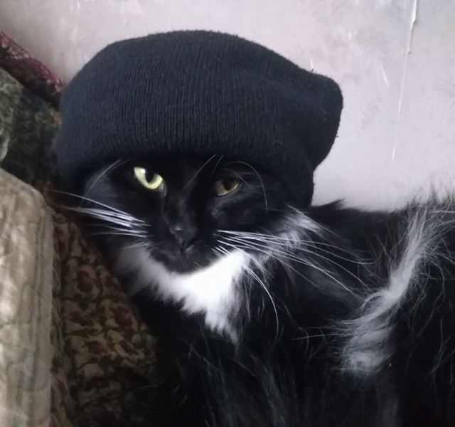 Одного фото пост