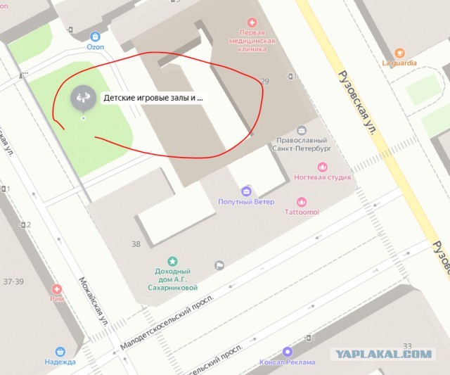 Всяческие картинки 03.12.2021