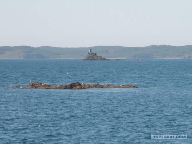 Поездка на побережье Яп.моря