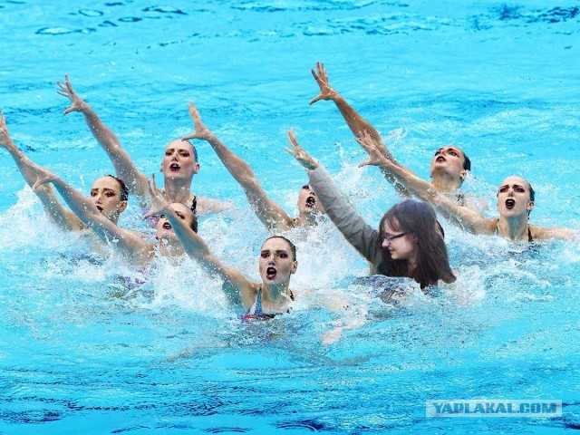 Фотожаба: Девочка с собачкой