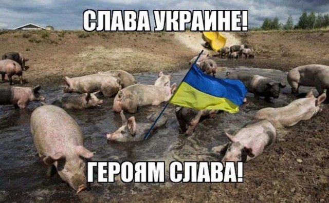 Невзорова поматросили и бросили