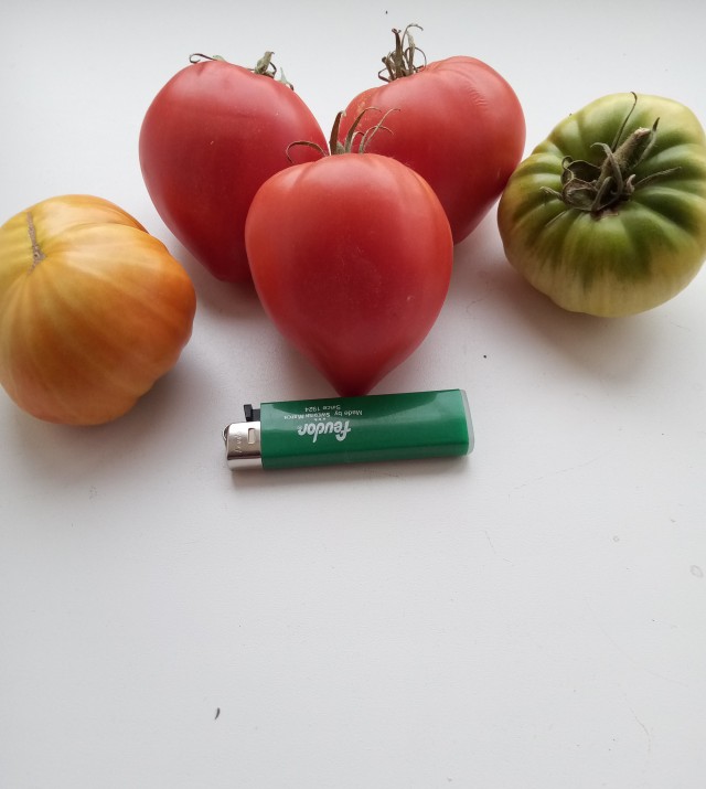 Дела огородные