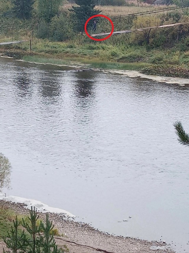 Власти поселения в Коми назвали постановочными фото со школьниками на разрушенном мосту