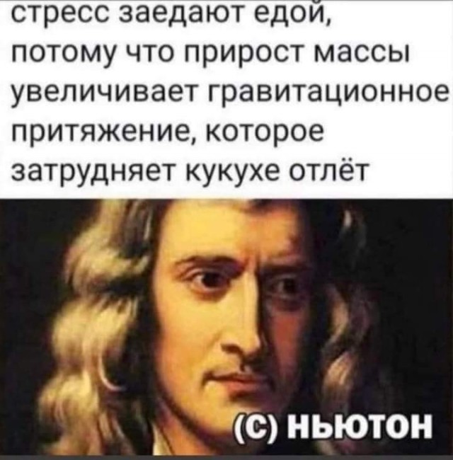 Чуток картинок 11.10.22