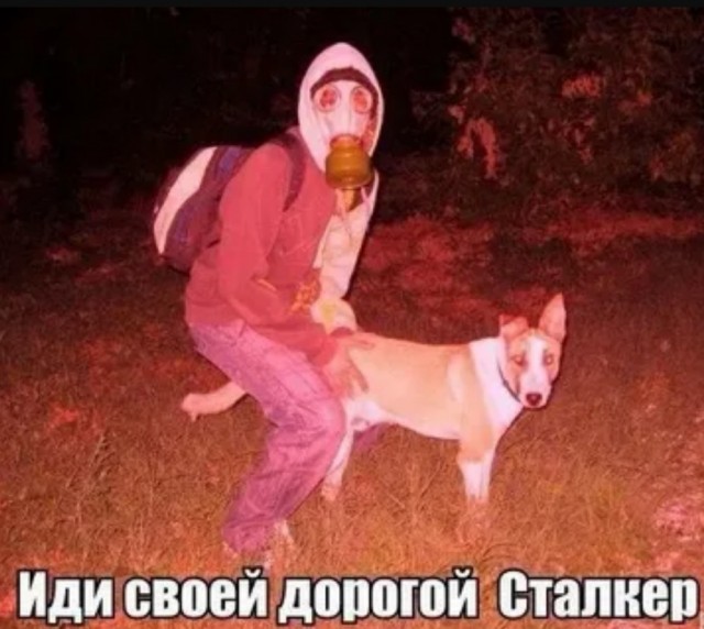 Здарова, Меченый! Что притащил?