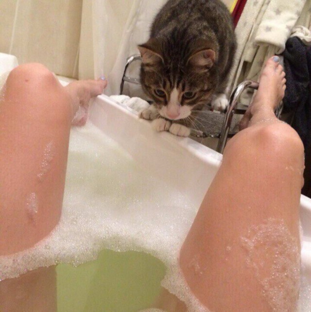 Кисковторник для взрослых