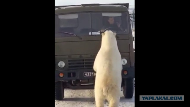 Камазы под заказ, или как зарабатываю себе на хлеб