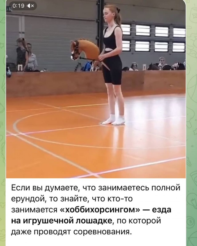 Соревнования по хоббихорсингу на Конноспортивном комплексе Пермского края