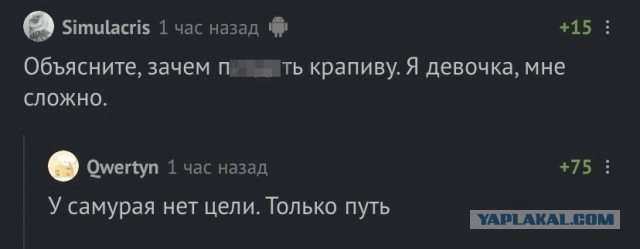 Нуштош 20.06.2023