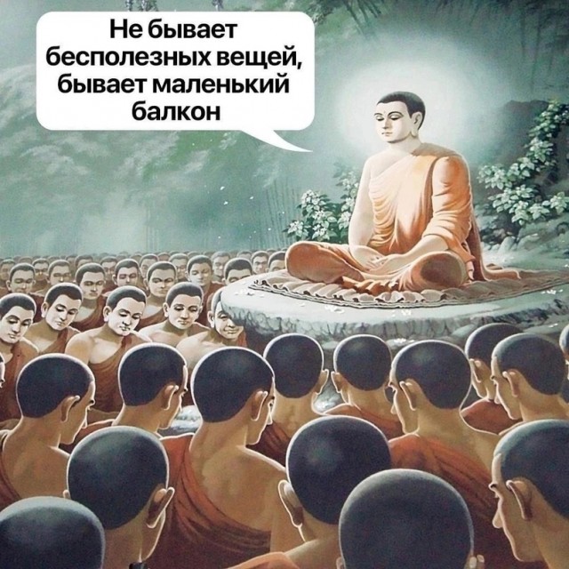 18494349.jpg