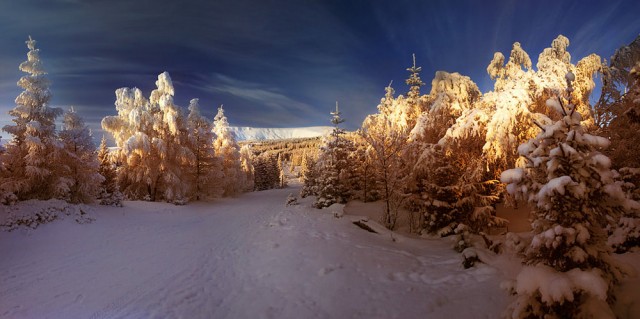 Каникулы в деревне