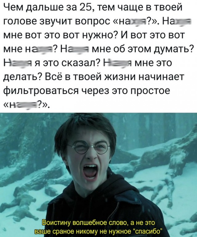 Весёлый полтишок 24.12.23