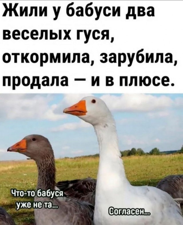 Картинки разные с надписями и без