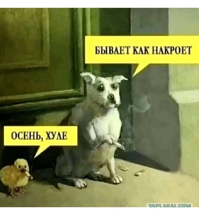 Завалялось тут случайно немного забавных картинок