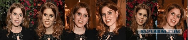 Принцесса Беатрис появилась на коктейльной вечеринке