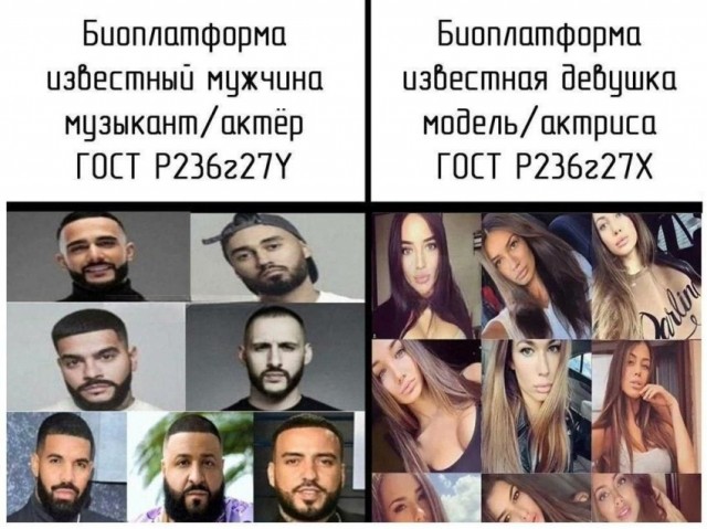 Прикольные и просто красивые картинки 01.11.2024