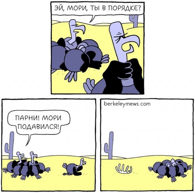 Нуштош 13.12.2024