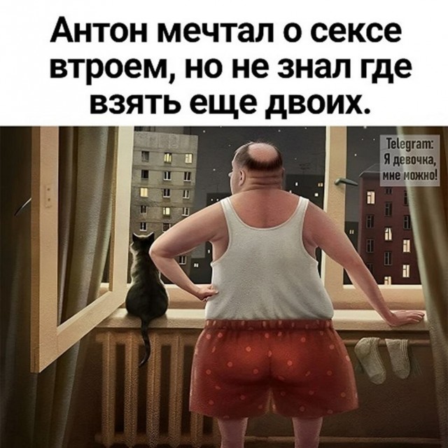 Немного забавных картинок от 22.12.24
