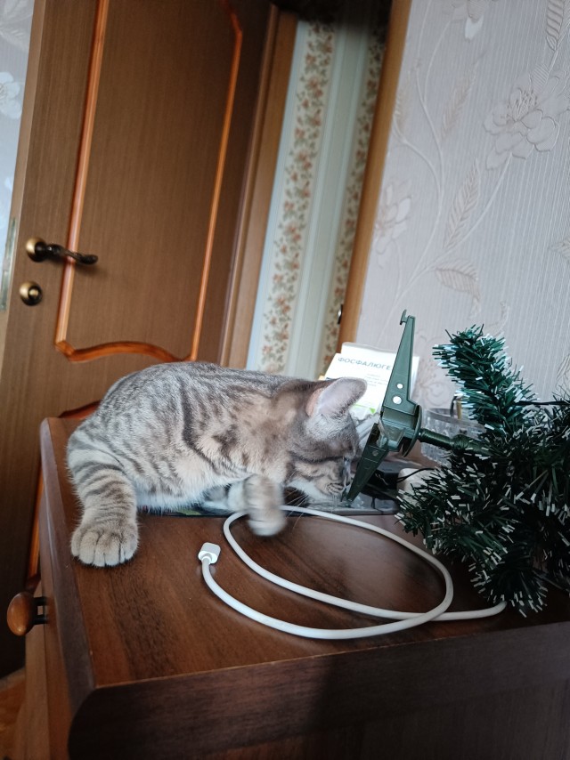 А я что? Я что? А я ничего!