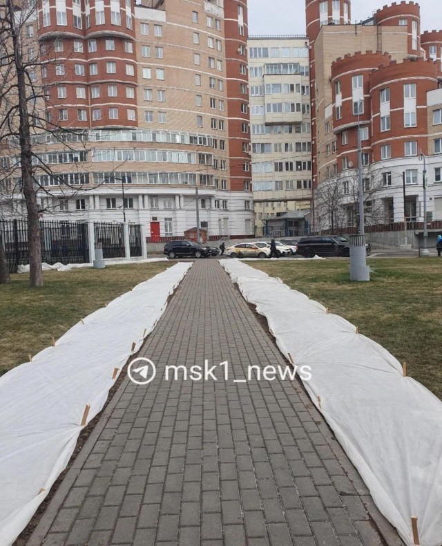 Москвичи задыхаются от навоза