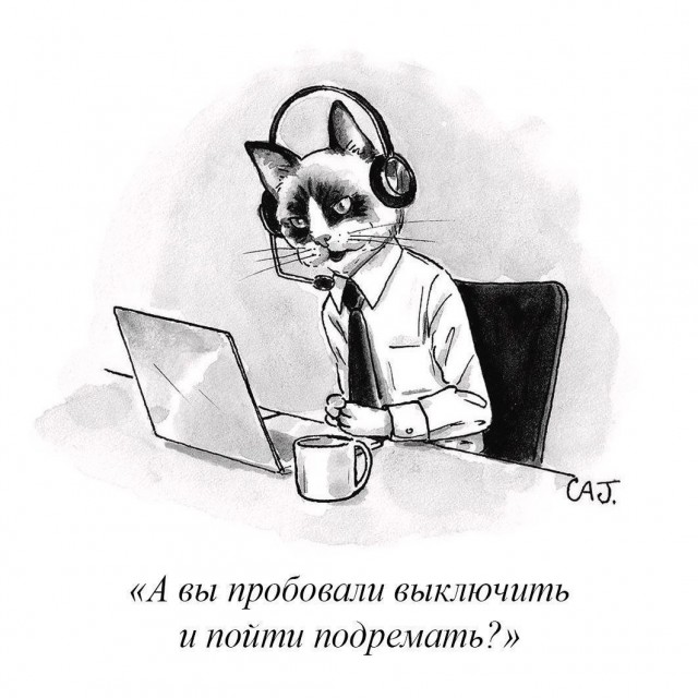 Так себе картинки 03.03.25